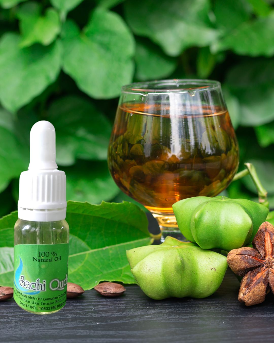 Distributor Sacha Inchi Oil Asli Jogja