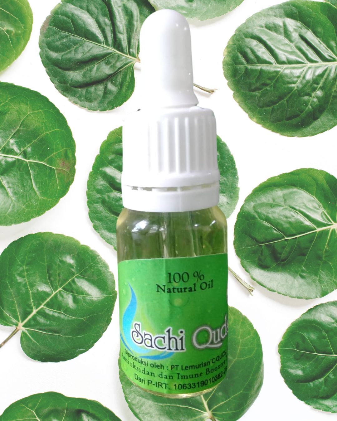 Jual Sacha Inchi Oil Asli Solo