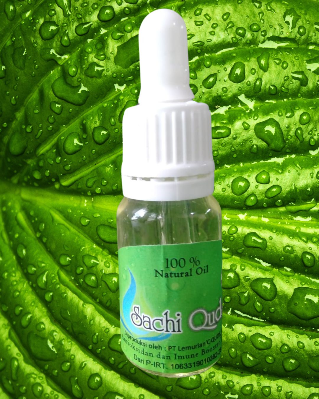 Distributor Sacha Inchi Oil Asli Solo